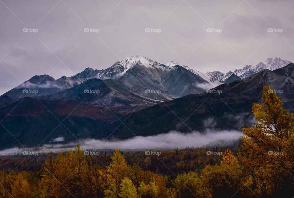 Alaska fall
