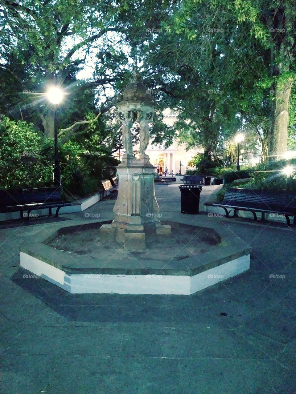 Where we saw the rat.