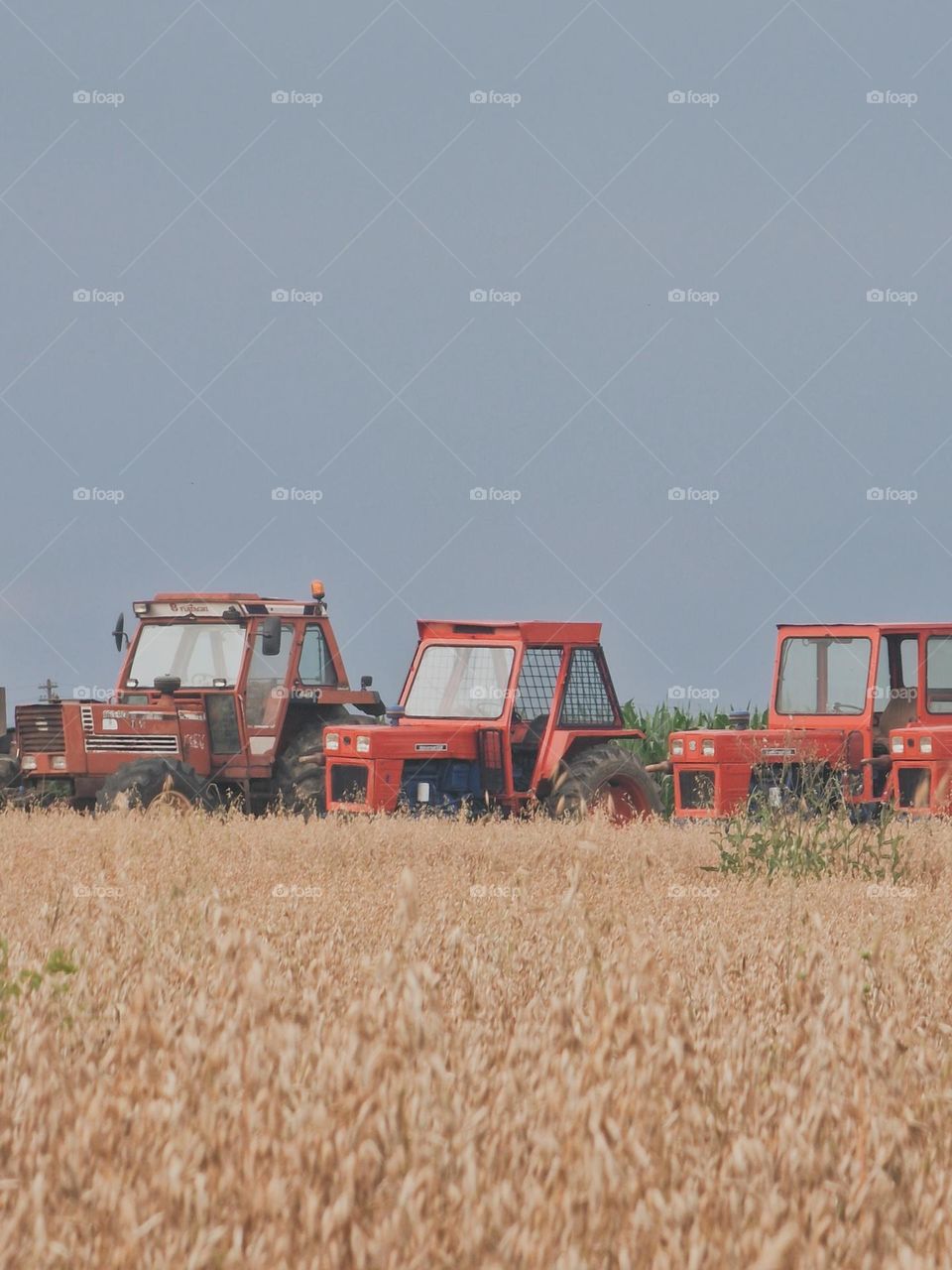 tractor in the field