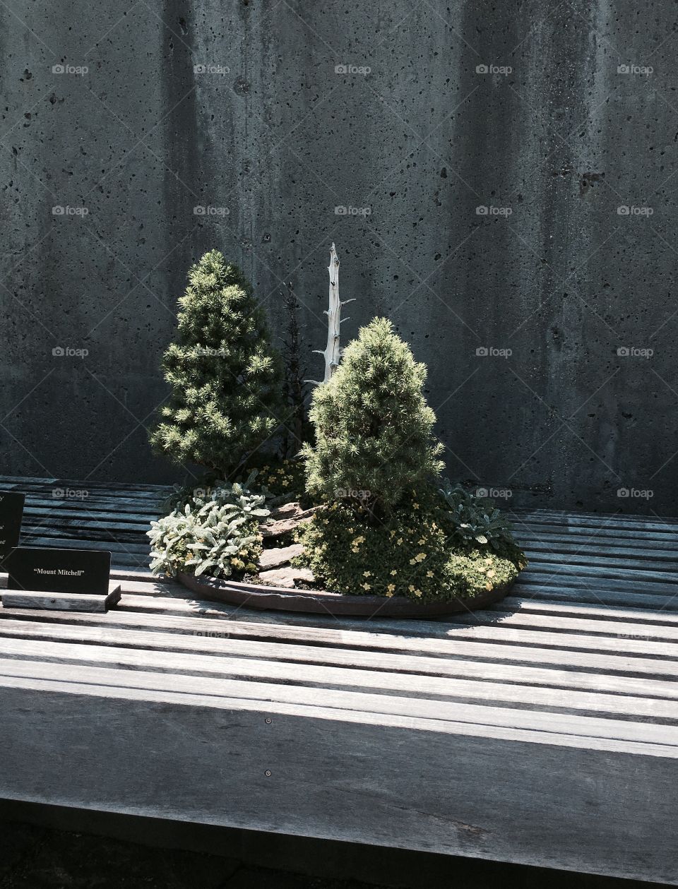 Asheville, North Carolina 