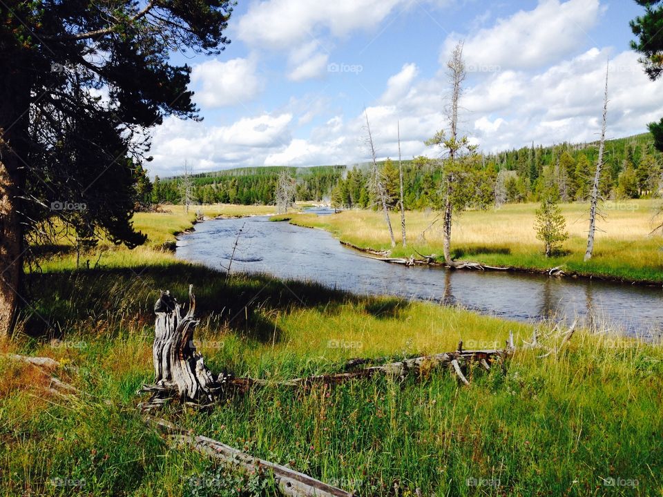 Scenic view of river