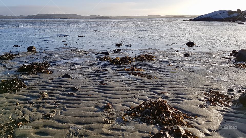 On the beach by the sea on a cold winter day in Sweden - på stranden vid havet en kall vinterdag i Sverige 