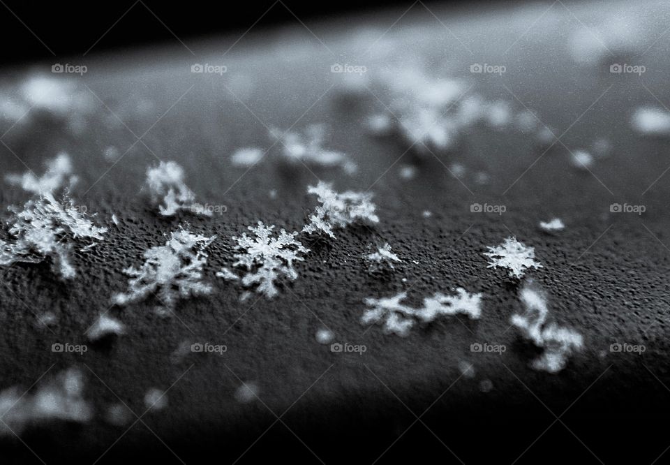 Contrast of nature and the manmade 