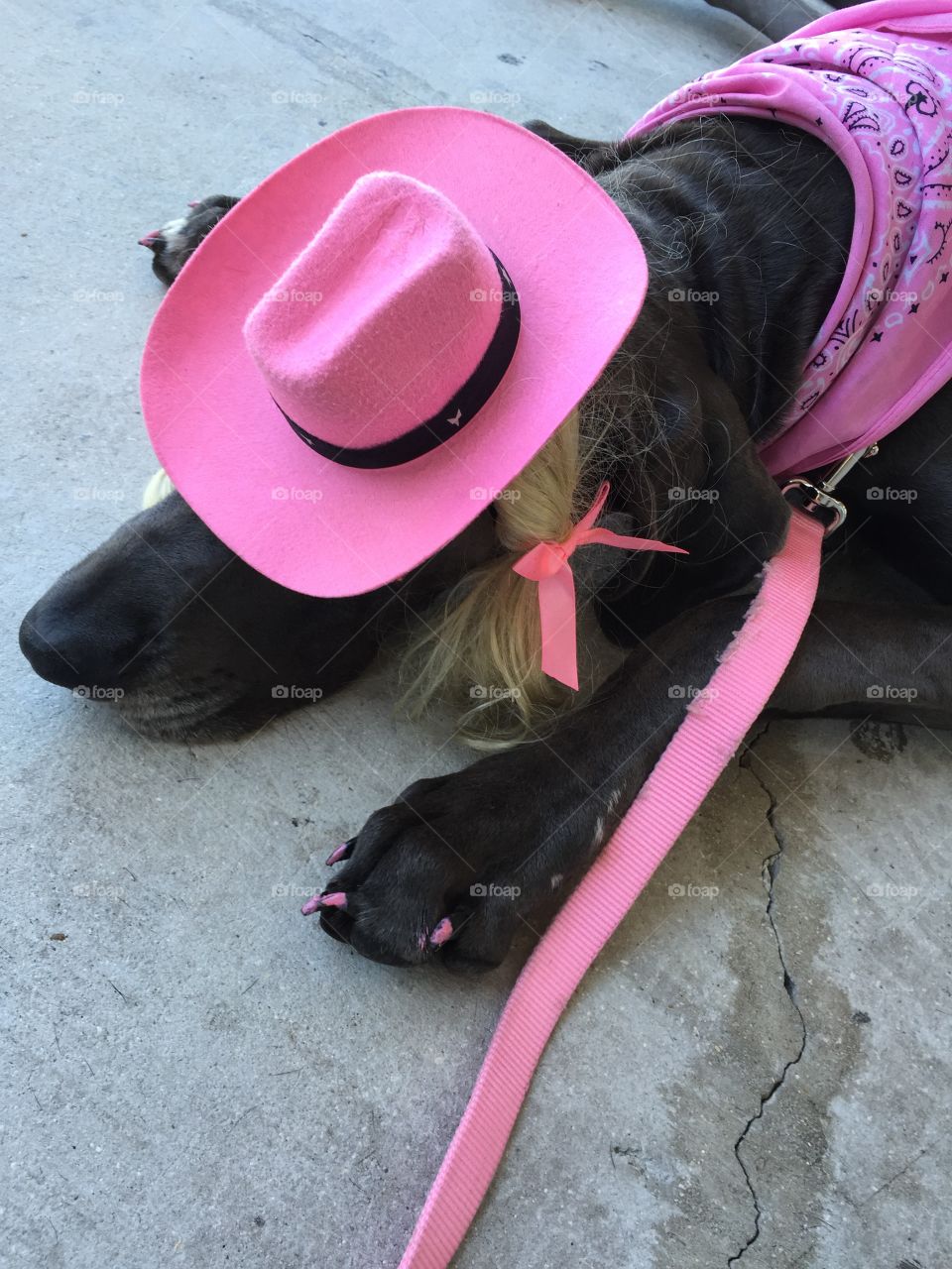 Dane dressed as a cowgirl