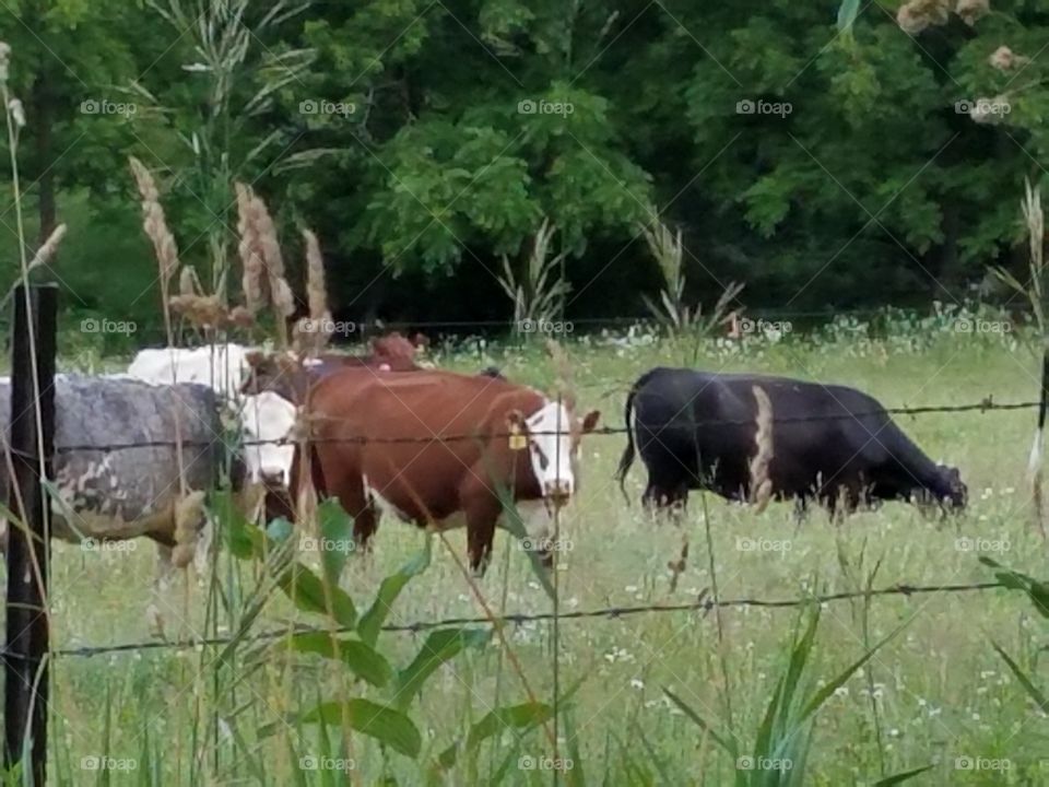 Driving the Back Roads and enjoying everything around us