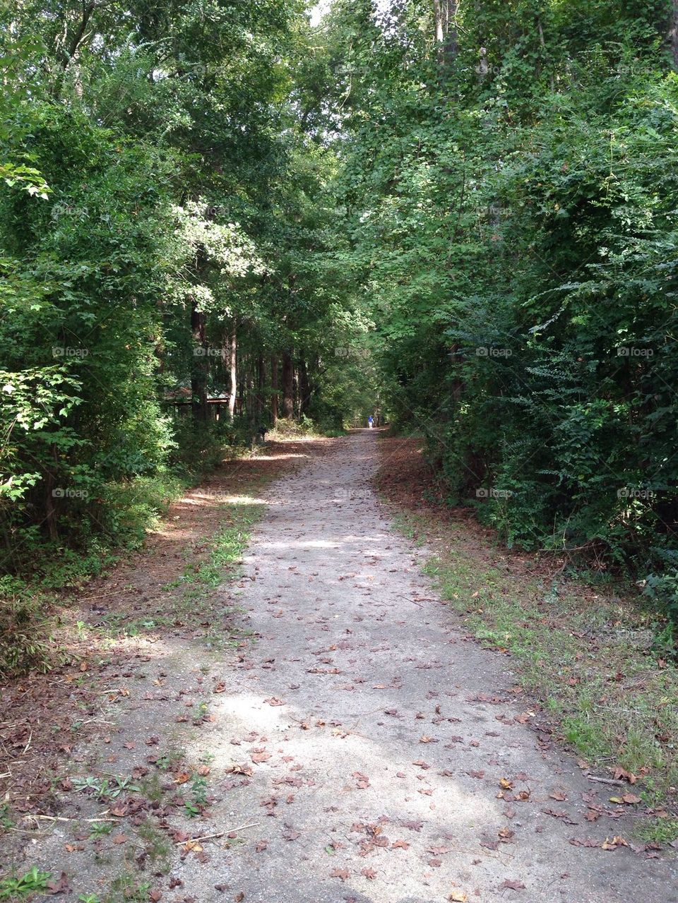 Walking trail