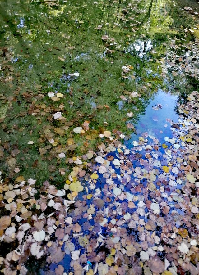 Reflection