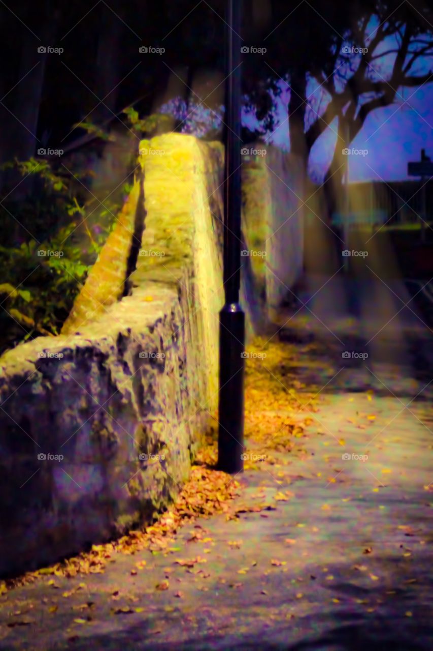 Autumn dry leaf on footpath