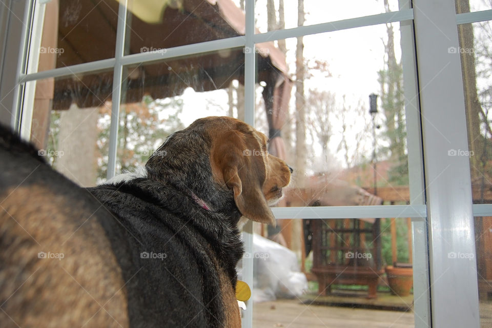 Sweet girl watching out the window