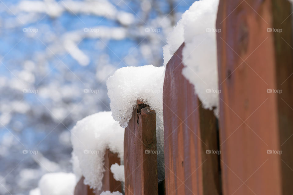 Snow topped fence