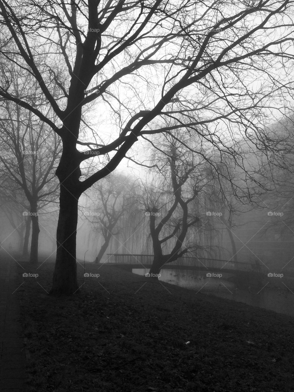 A very misty day. no color anymore.