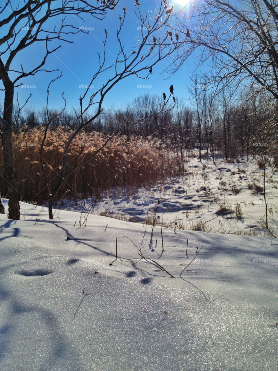 sparkle sparkles snow winter by somebeach