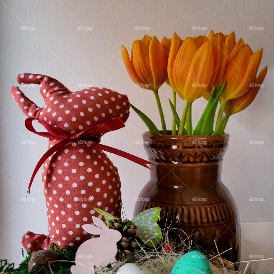 tulips and bunny