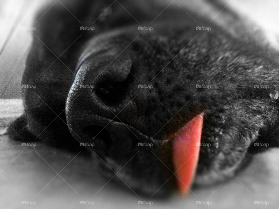 kitchen pink macro close by sadie.collins