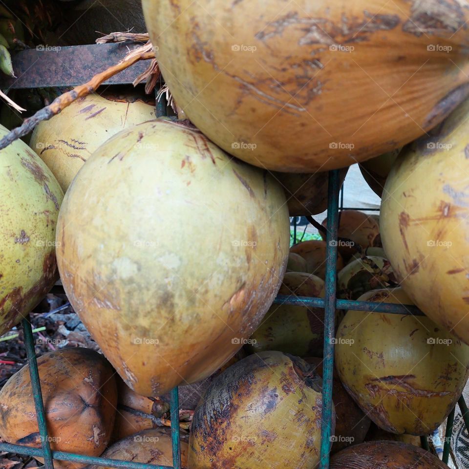 Coconut fruit has many health benefits