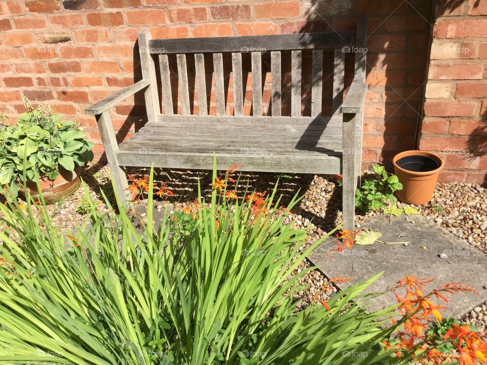 Garden. Bench