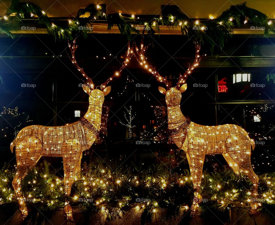 Christmas, Celebration, Gold, Reindeer, Deer