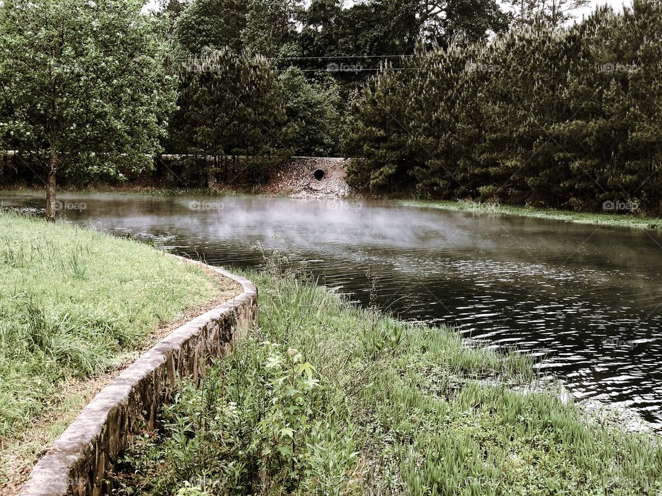 Pond
