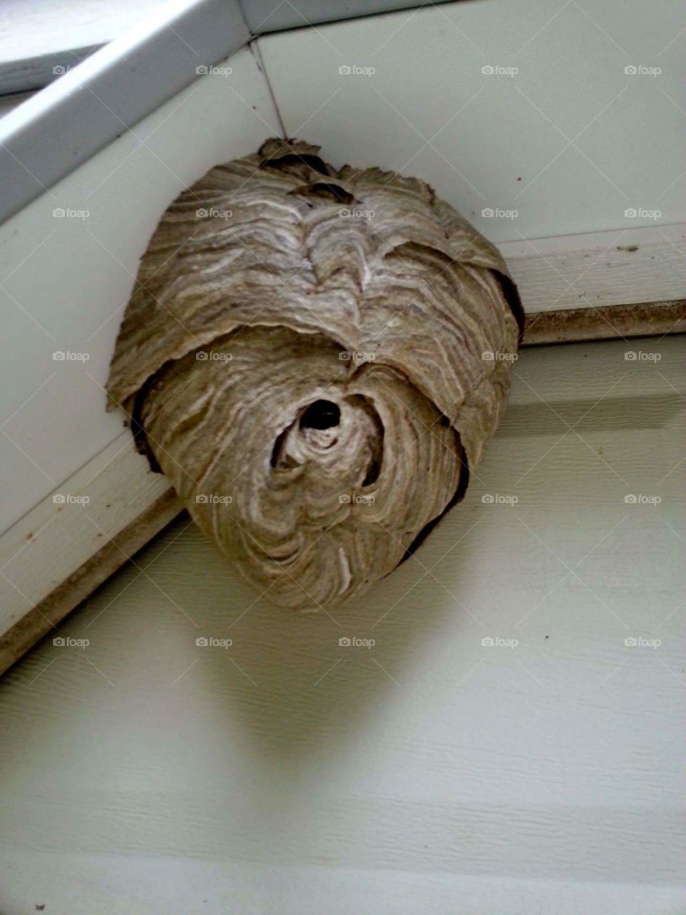 No Person, Sculpture, Old, Art, Wood