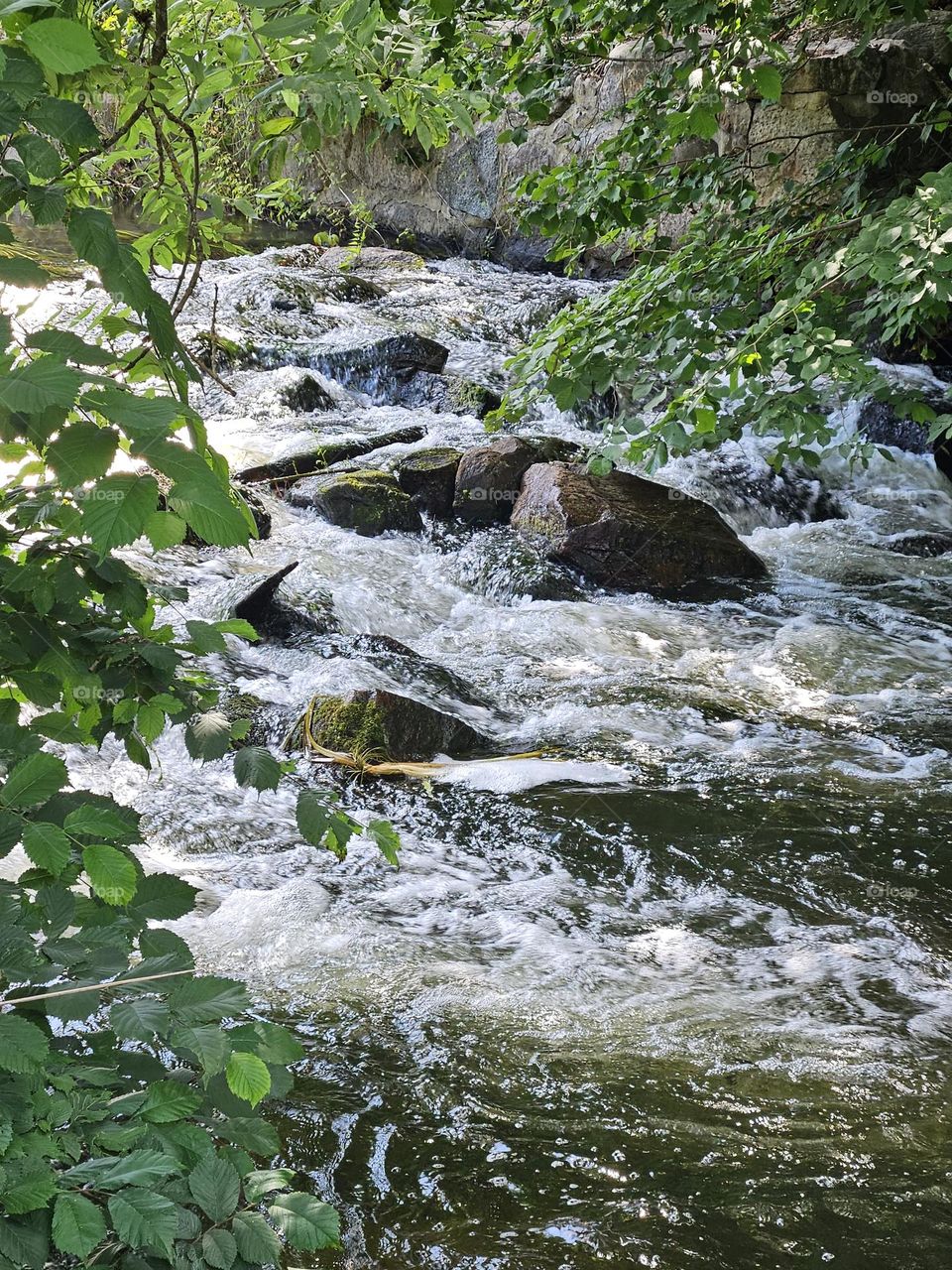 flowing water in the river of Rönne Å