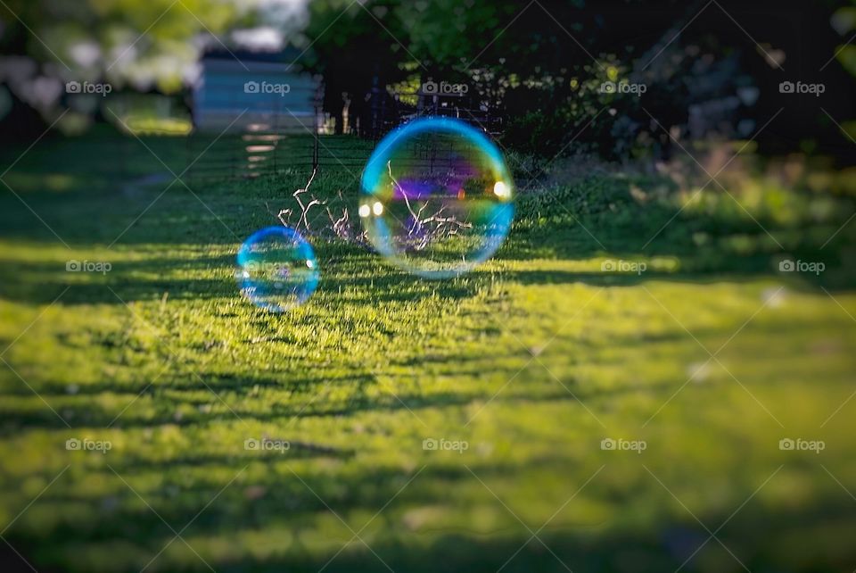 Two Rainbow  Bubbles Floating in the Air