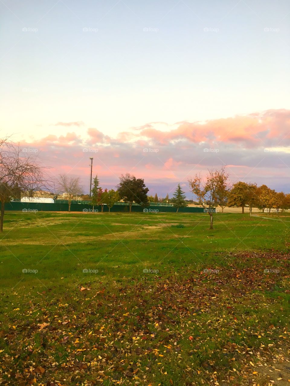 Lindo día para caminar
