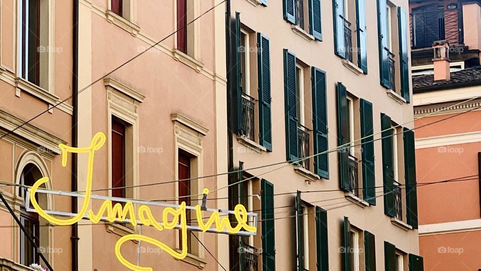 Snapshot of the month 