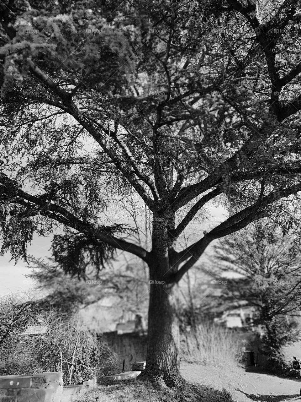 Visit of the Château fort d'Ecaussines