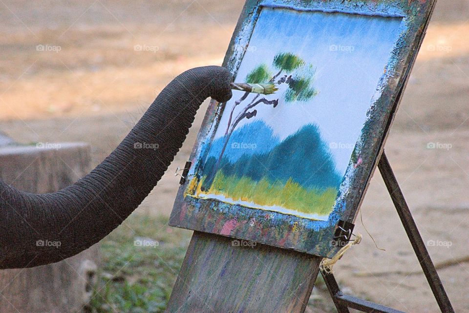 At the Maesa Elephant  Camp in Chiang Mai ,Thailand is painting a beautiful colorful scenic art masterpiece.