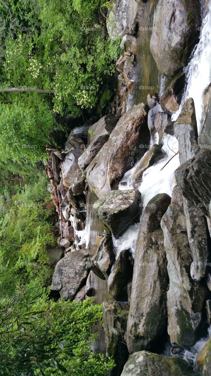 The Rapids of Whitewater falls