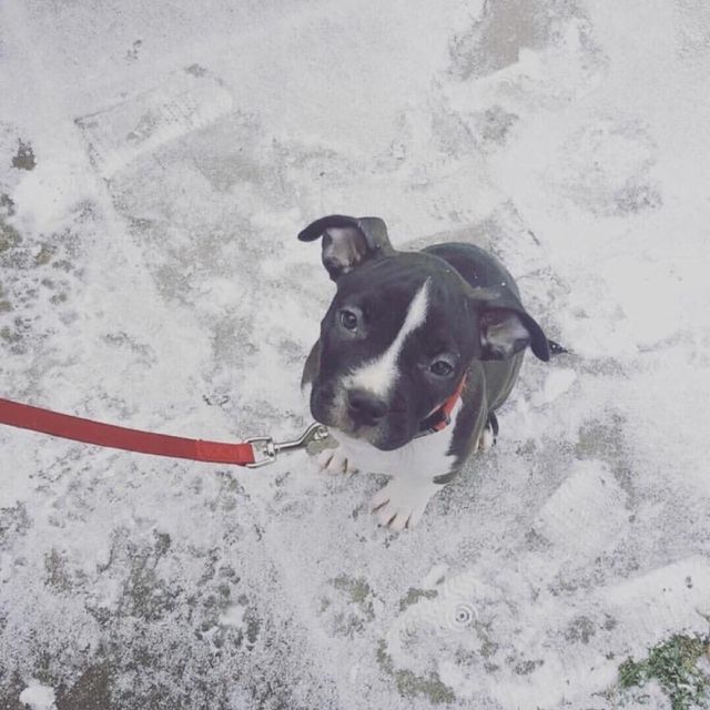winter
