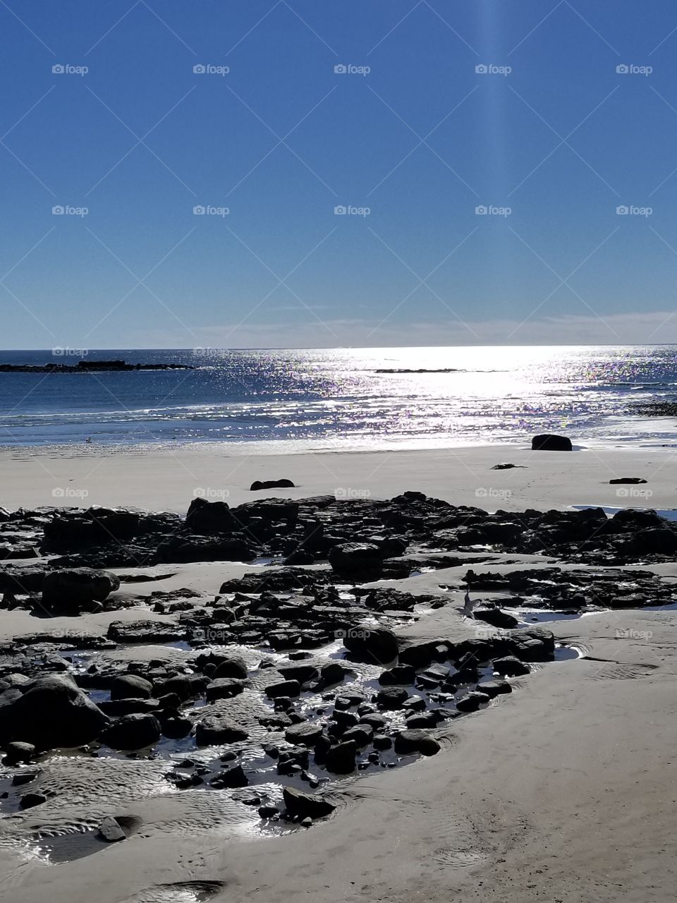 Bright and glorious!