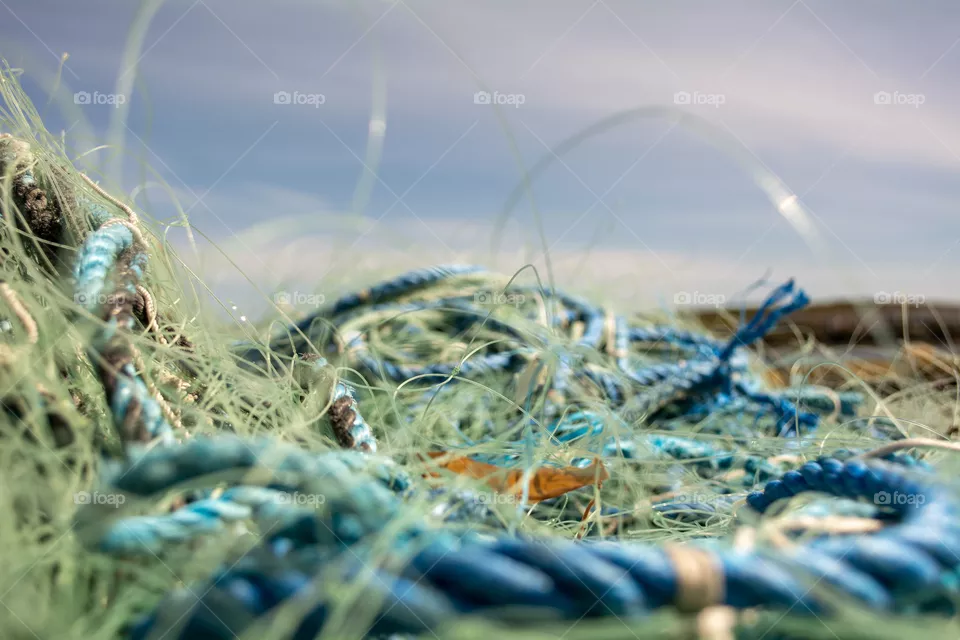 nets