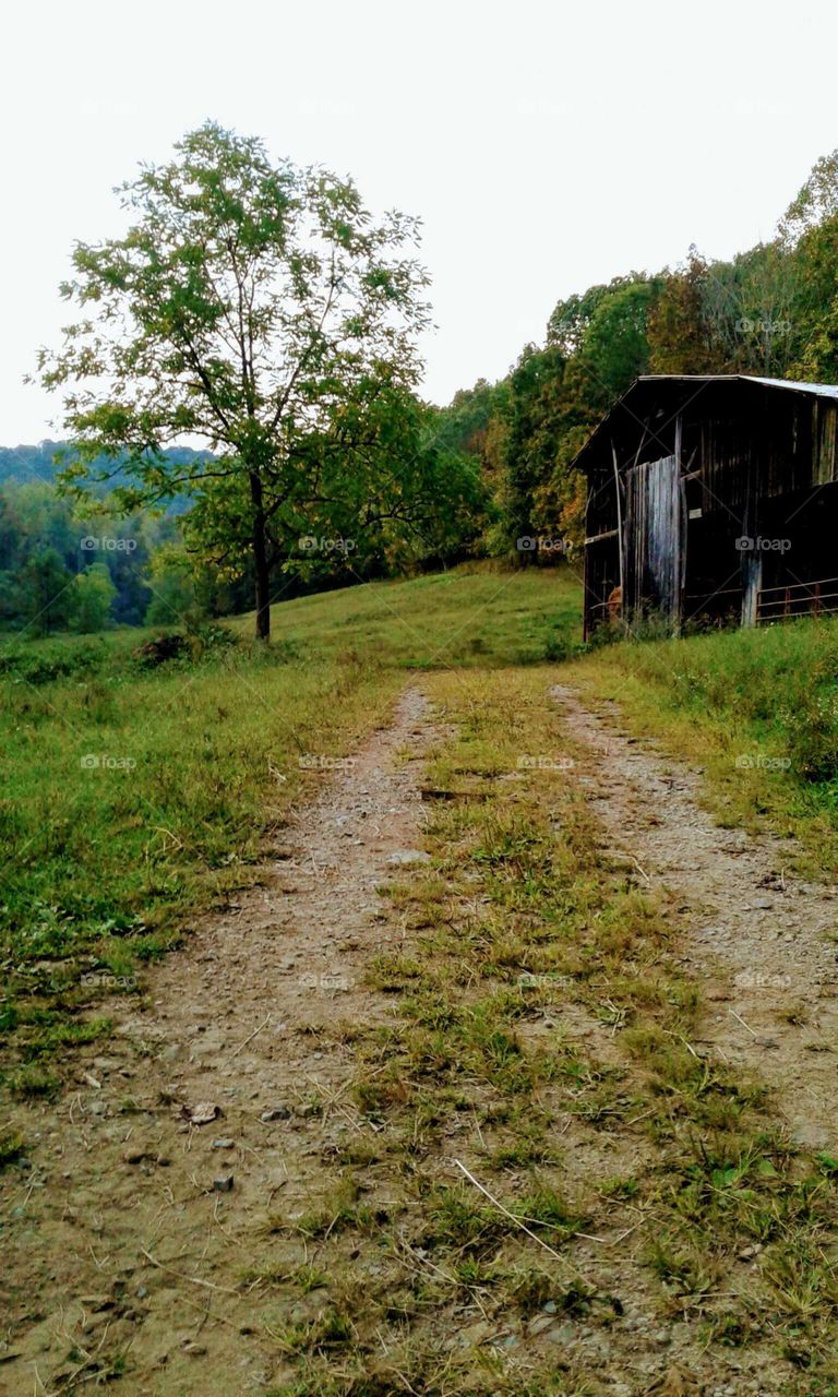 Old Barn