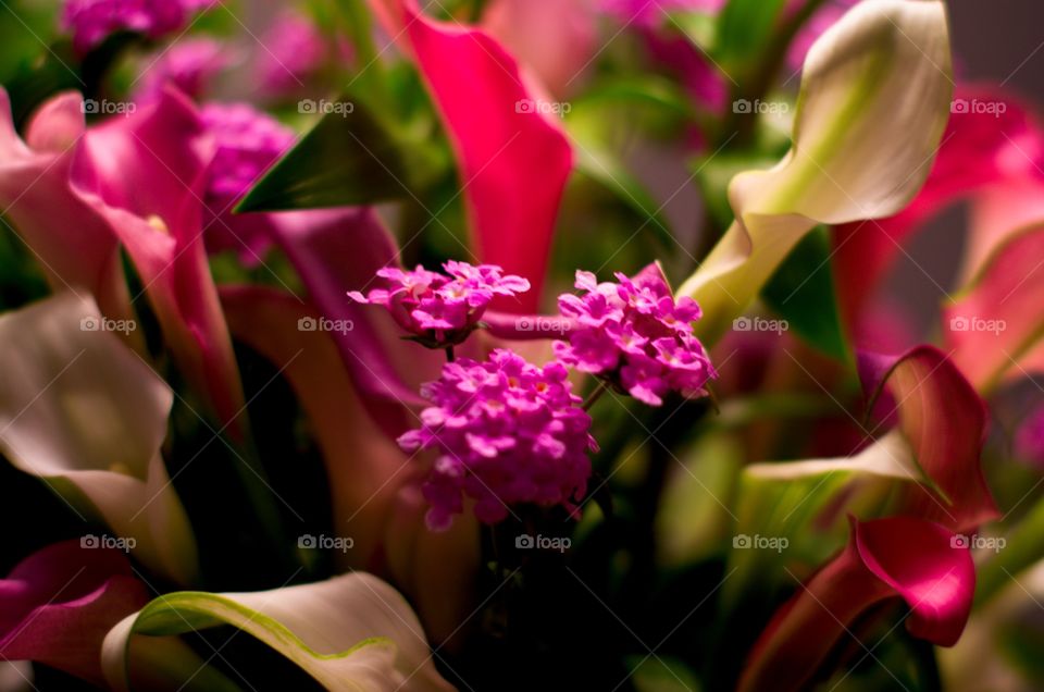 Flower arrangement