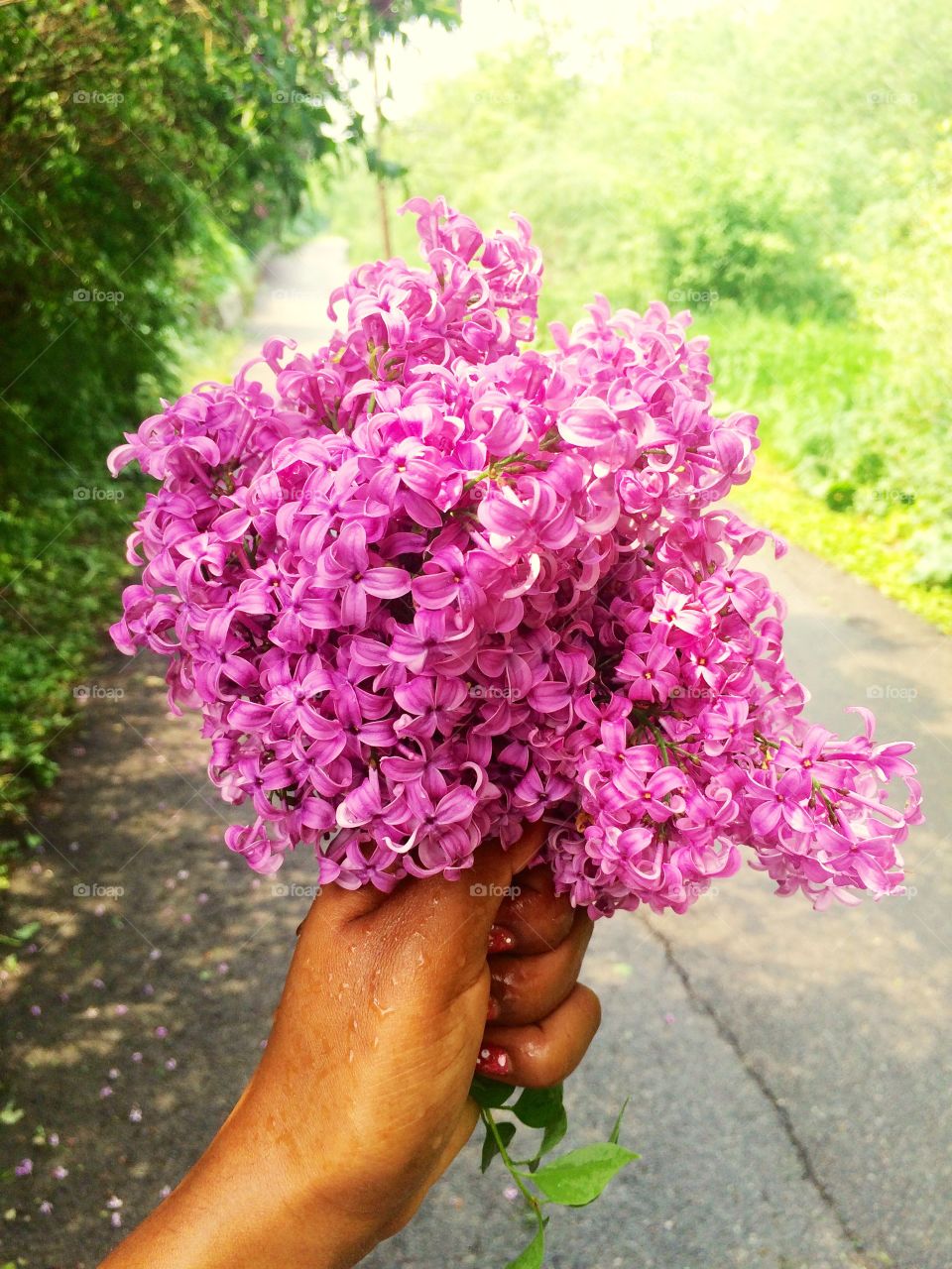 Flowers 💐 flowers 🌸 