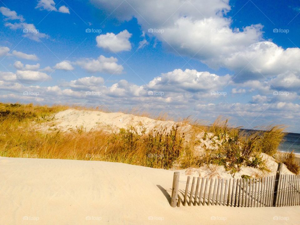 Autumn Beach 2