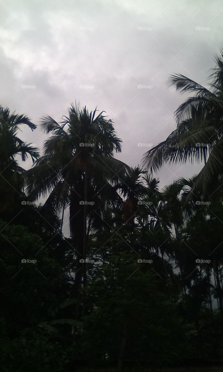 cloudy morning of monsoon