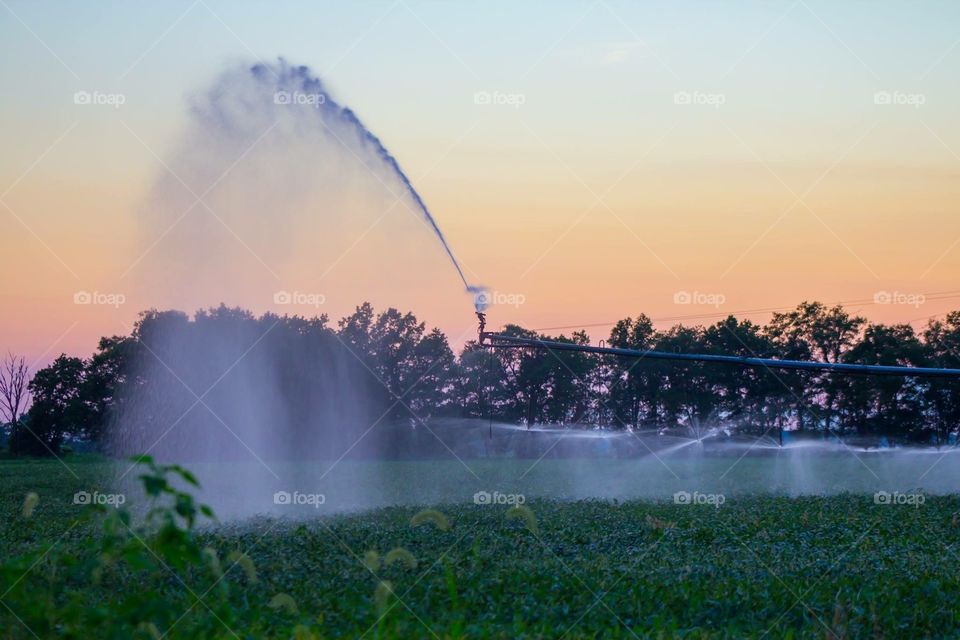 Irrigation Spray Arc