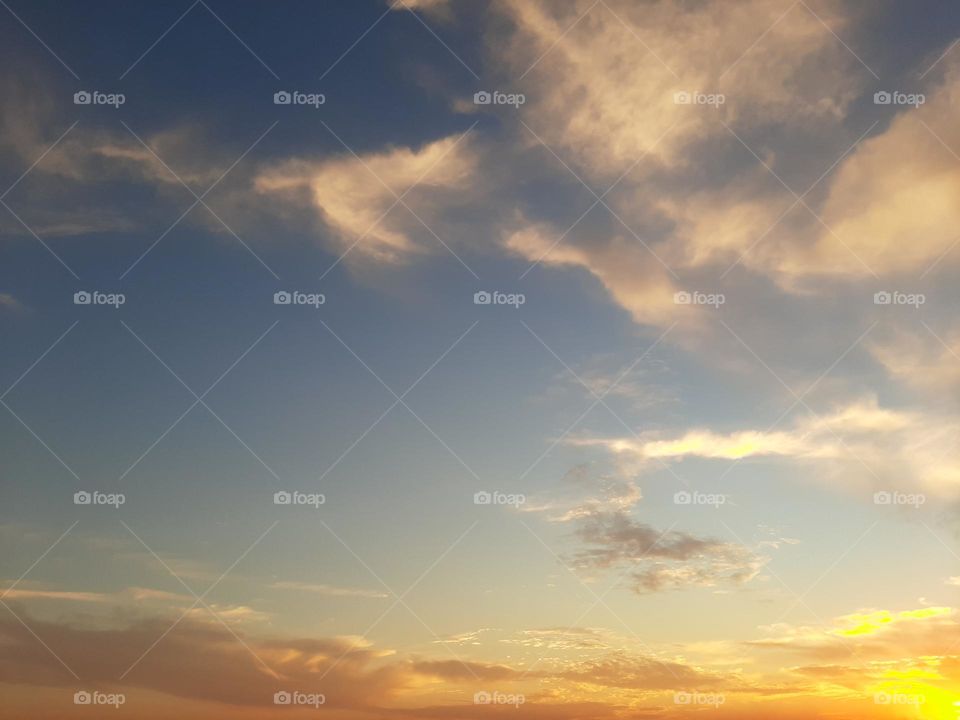 Please, I want you to support me, I need your help, I am poor, I need dollars, please