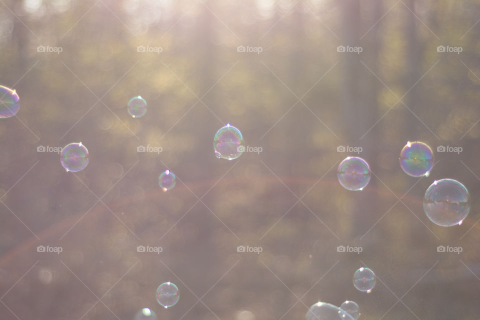 Soap bubbles