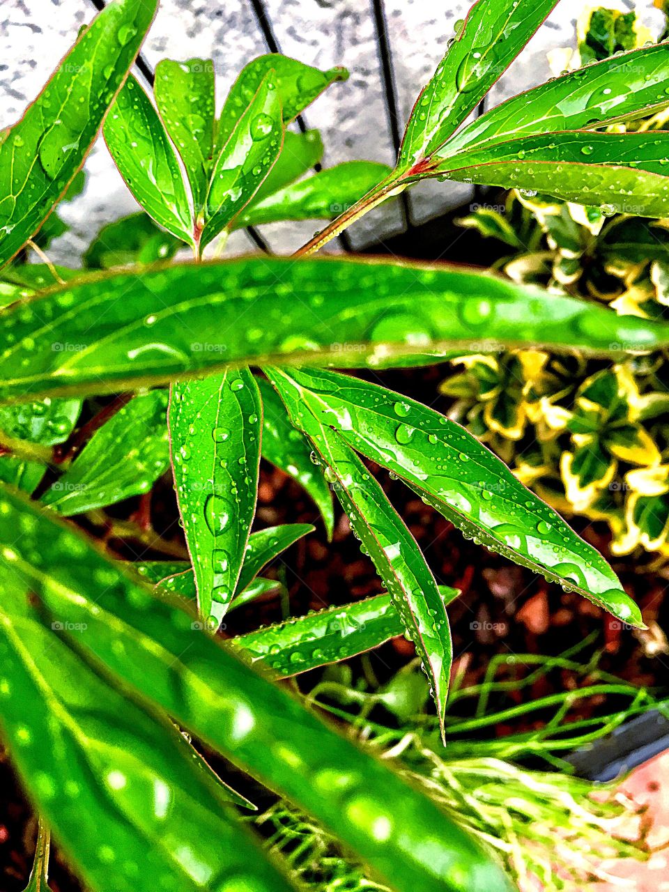 Captured with iPhone 6s Plus 