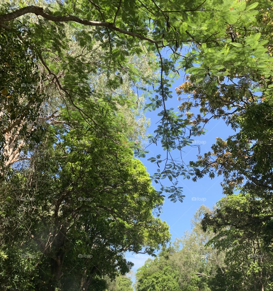 Hello greenery! 🍃