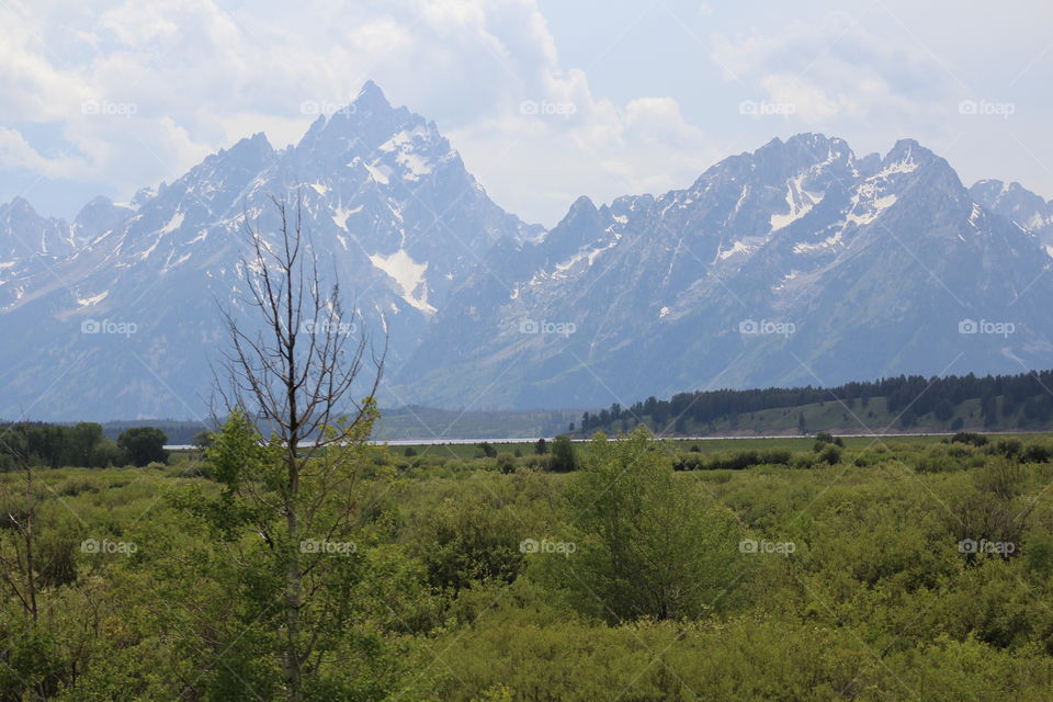 Tetons mountain mountains views scenic view Field Prairie beautiful snowy cloudy cloud mountainside green unedited