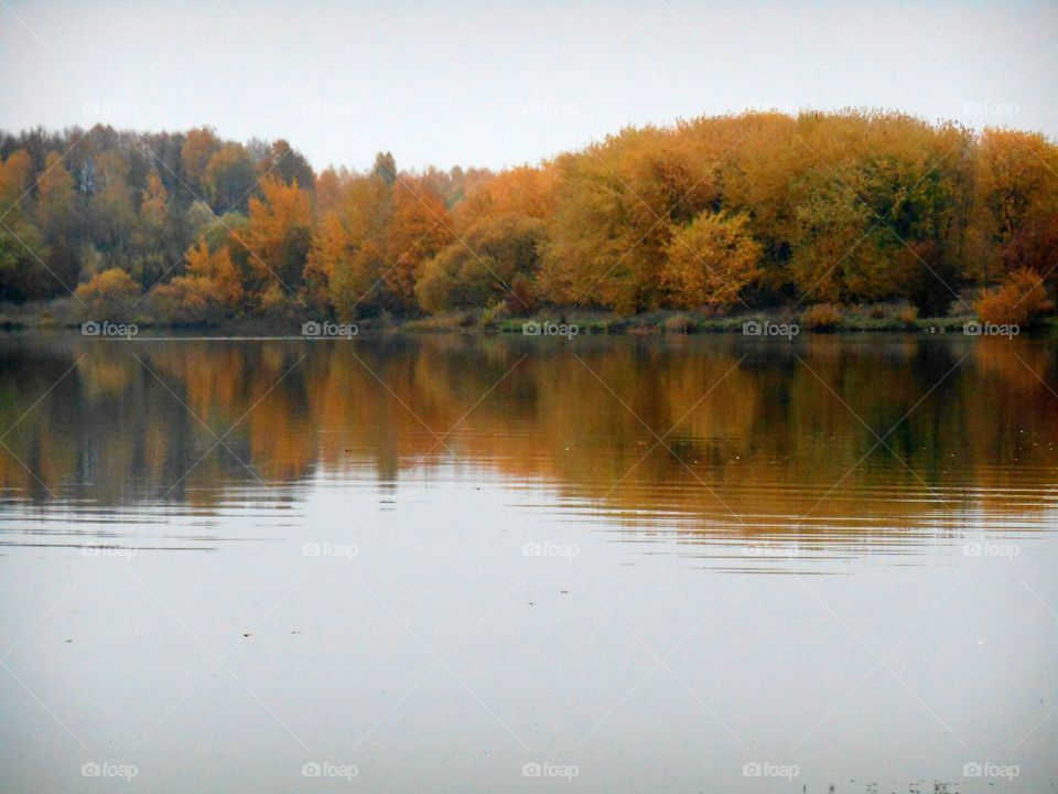 autumn lake