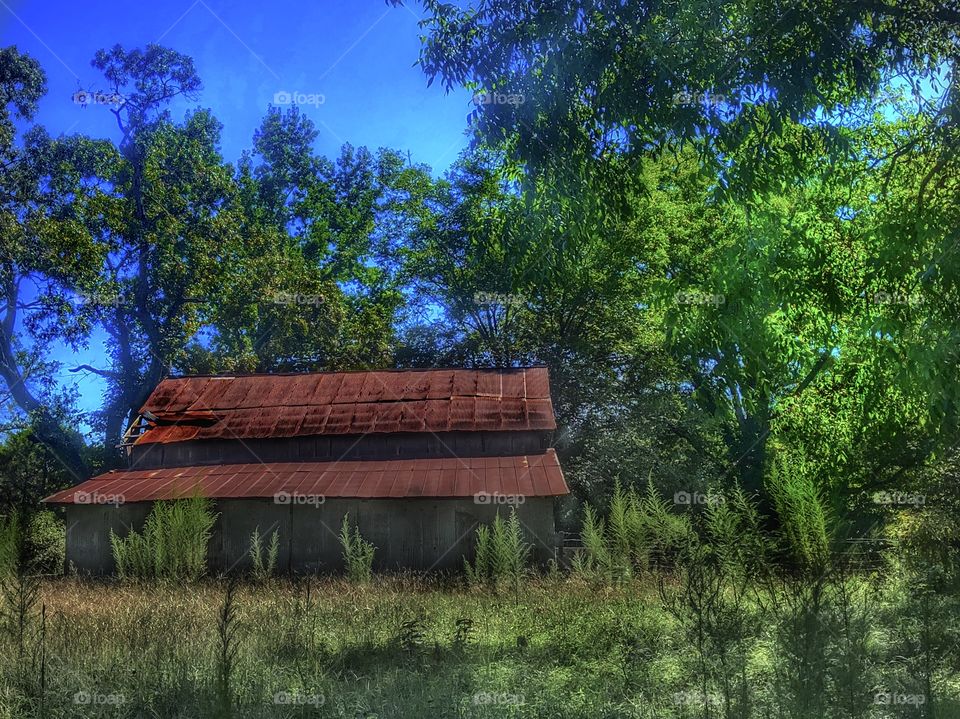 Old Abandoned Barnage