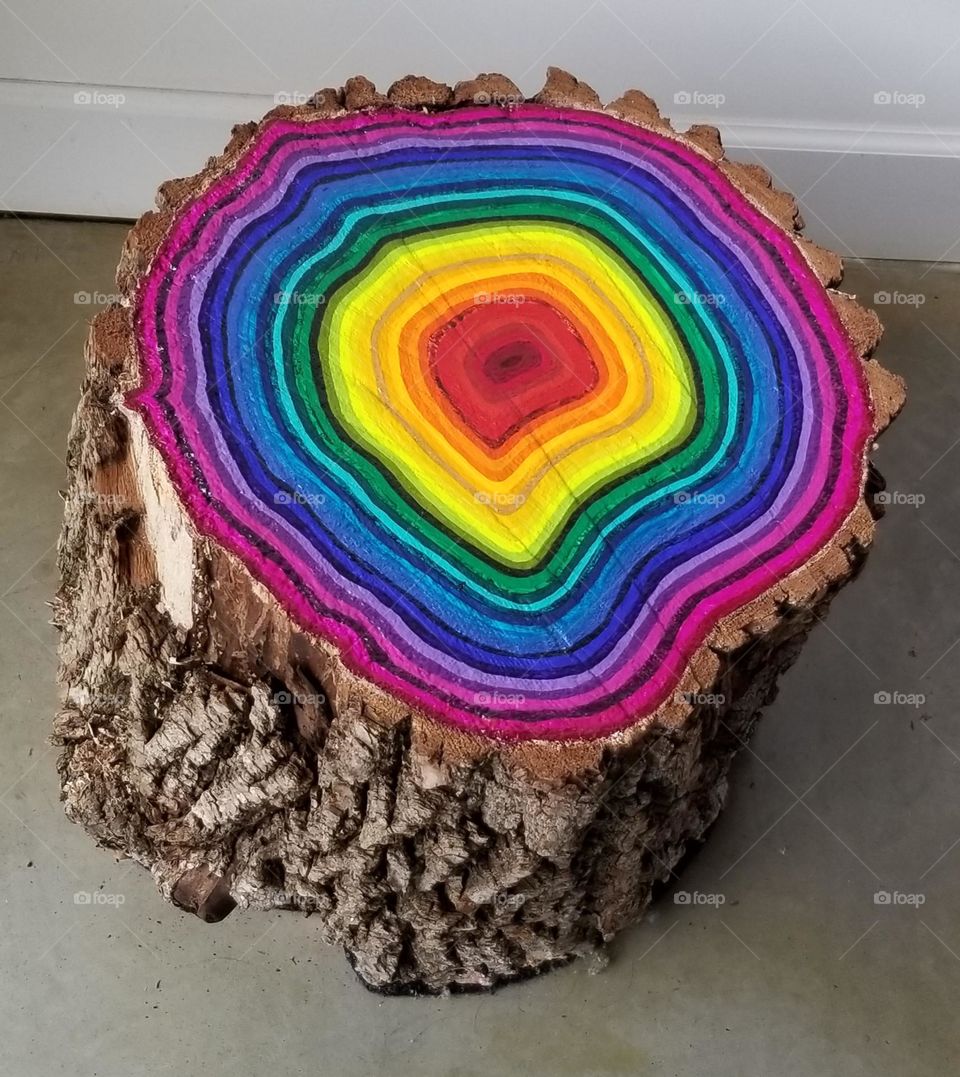 Rainbow Log