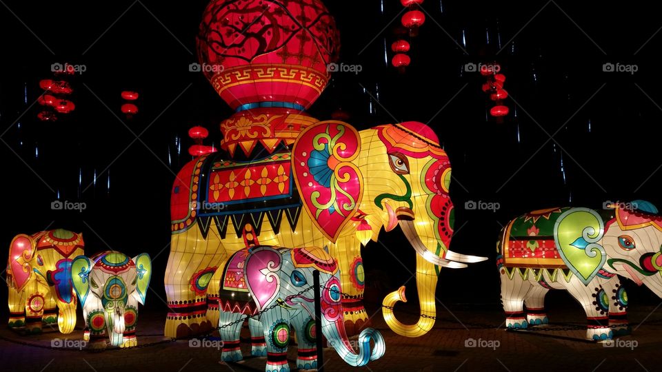 Lantern Elephants. Lowry Par Zoo's Zoominations 