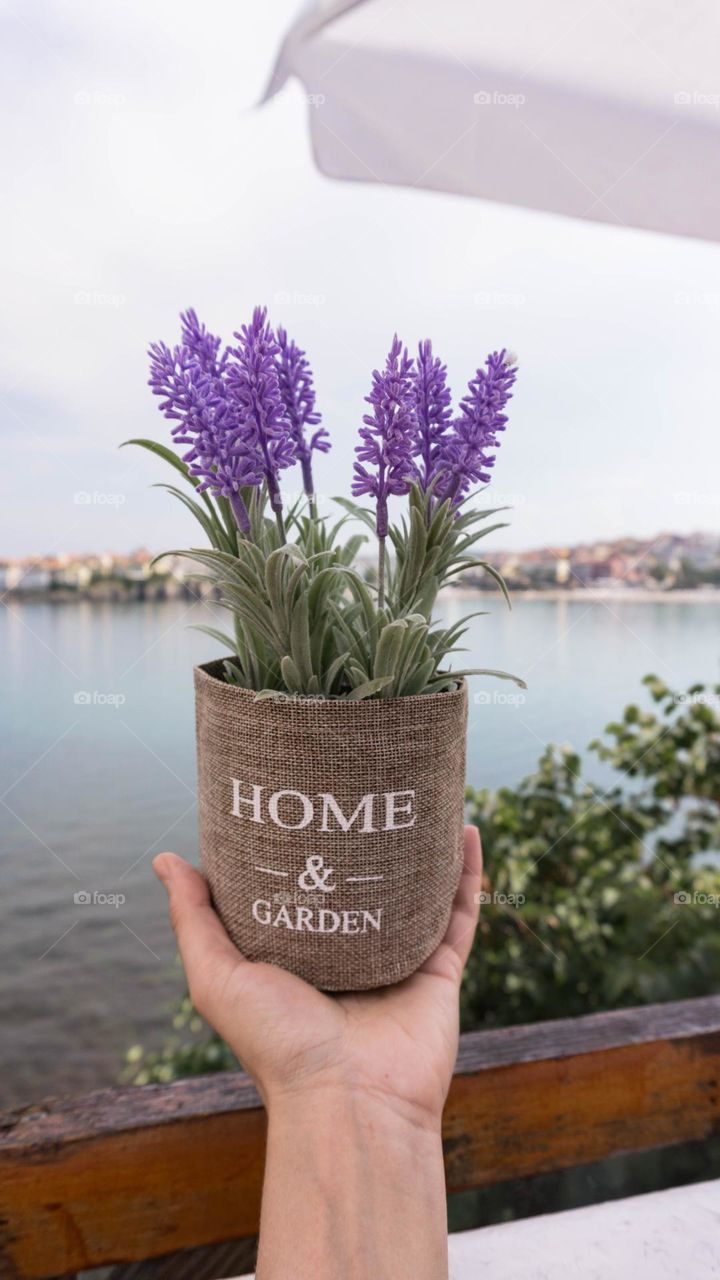 Decorative flowers in a vase against the sea and horizon line 