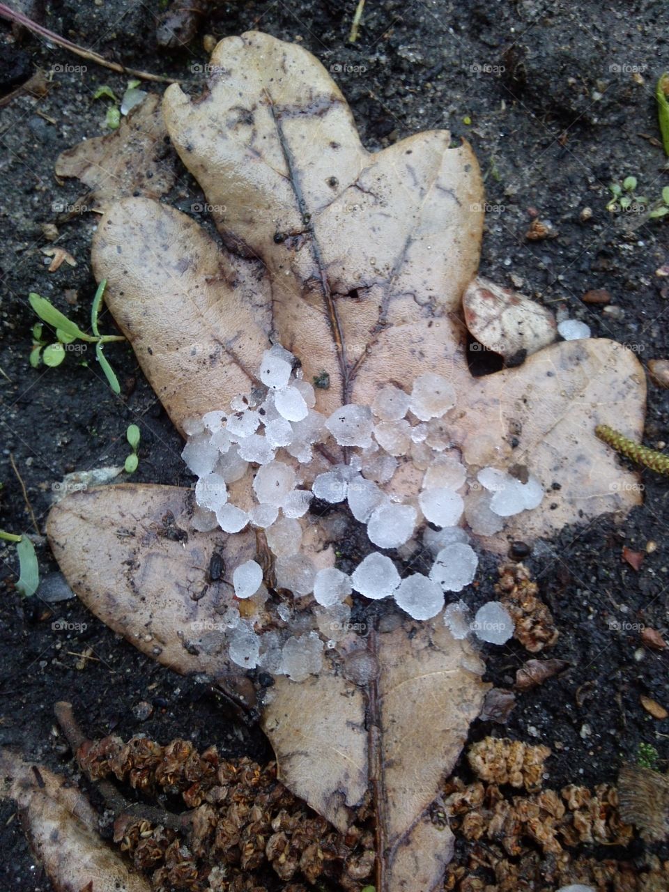 hail art